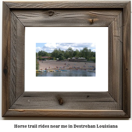 horse trail rides near me in Destrehan, Louisiana